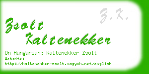 zsolt kaltenekker business card